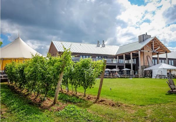 Campagna Vitivinicola 2022/2023: investimenti destinati all’acquisto di impianti depurativi